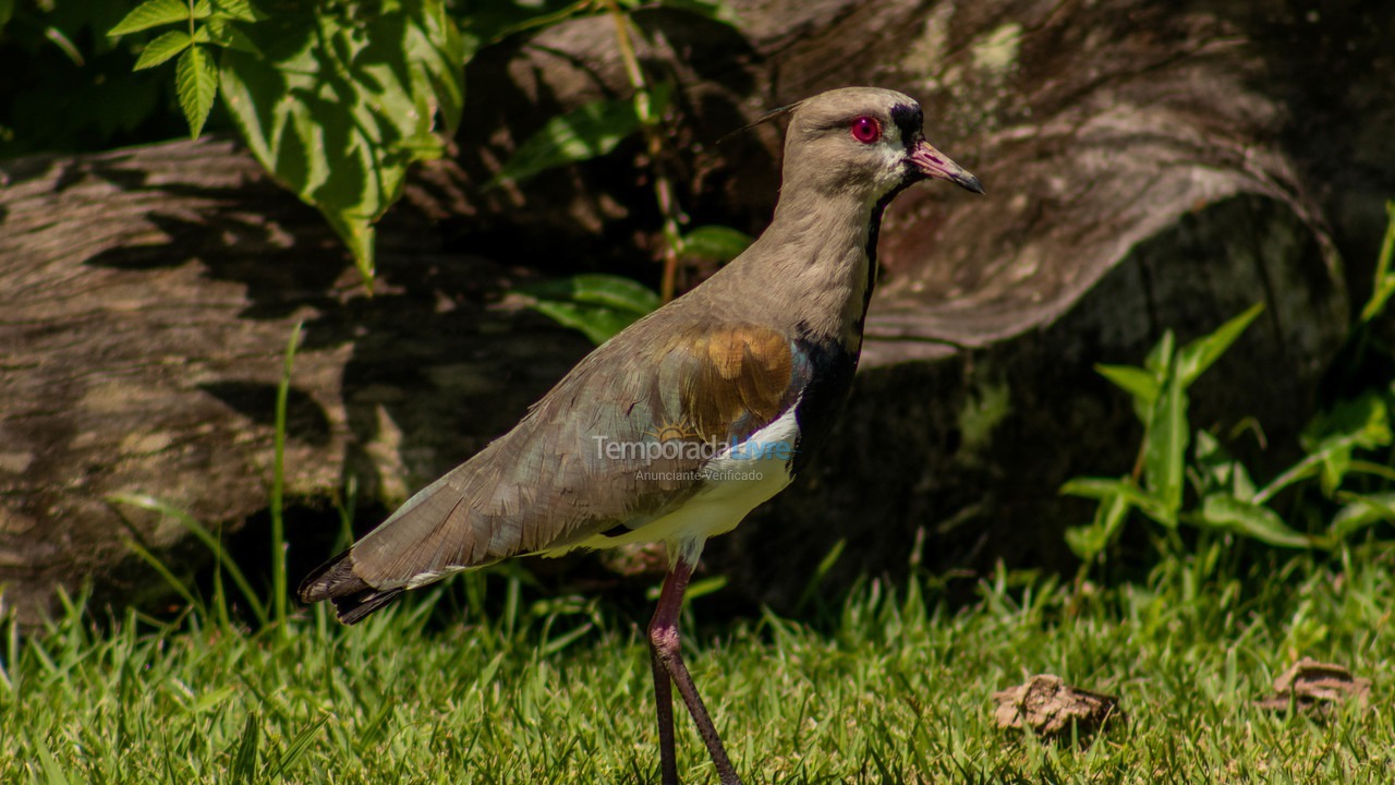 Casa para aluguel de temporada em Penha (Centro)