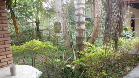 Detalhe do jardim da casa