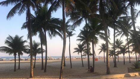 Perfect and very cozy apartment in Praia Grande