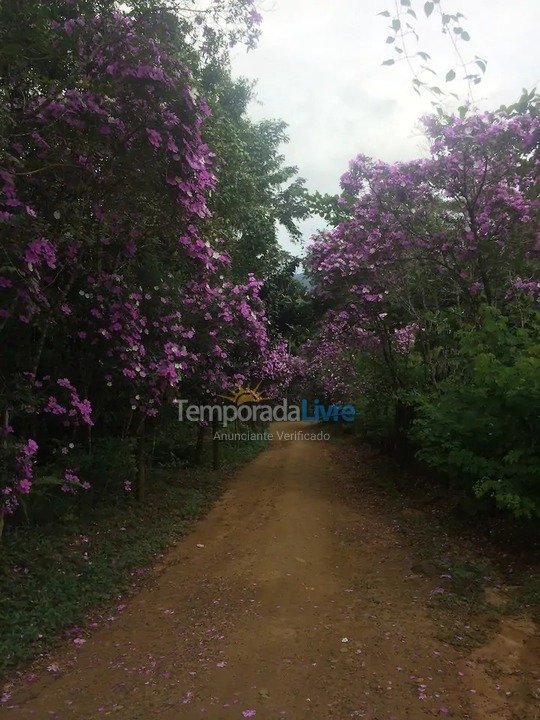 Casa para aluguel de temporada em Ubatuba (Ubatumirim)