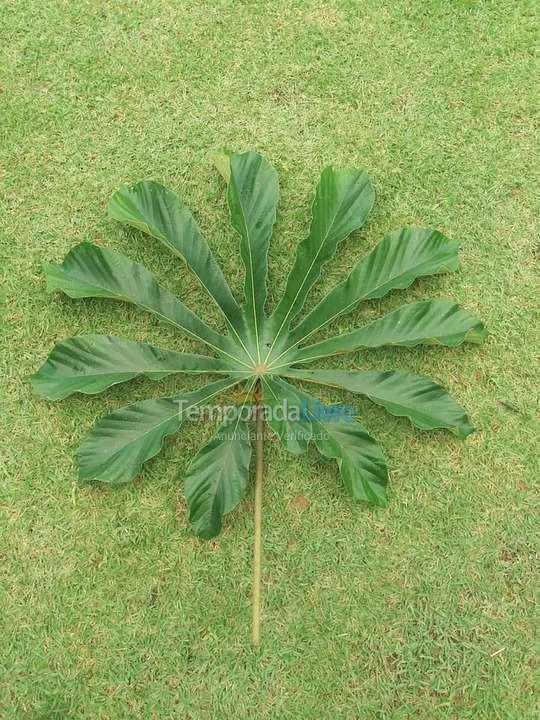Casa para aluguel de temporada em Ubatuba (Ubatumirim)
