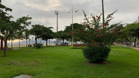 Jardim da praia 