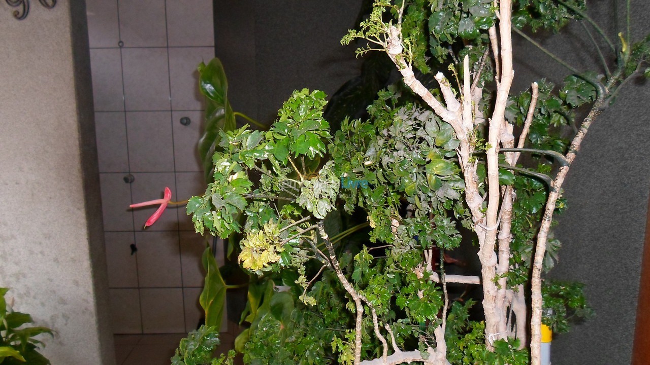 Apartamento para aluguel de temporada em Itapema (Meia Praia)