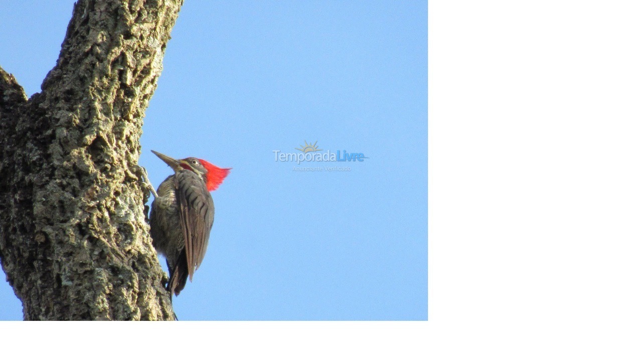 Granja para alquiler de vacaciones em Mairinque (Condomínio Porta do Sol)