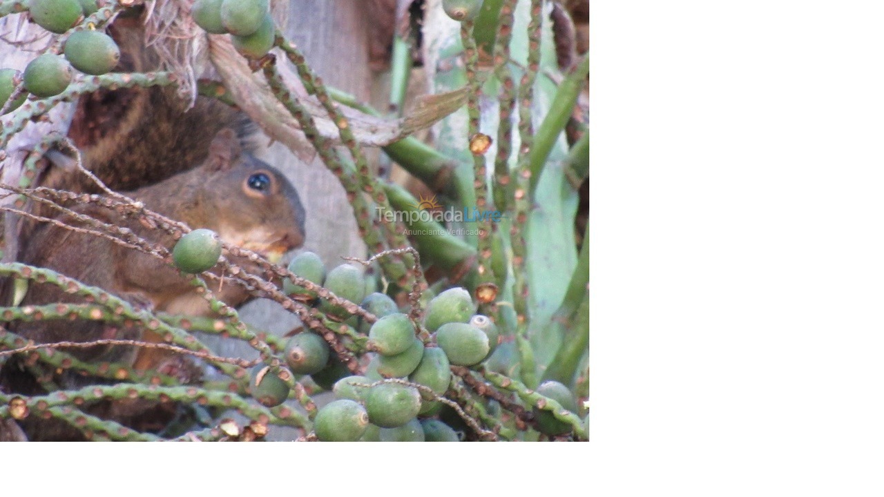 Granja para alquiler de vacaciones em Mairinque (Condomínio Porta do Sol)