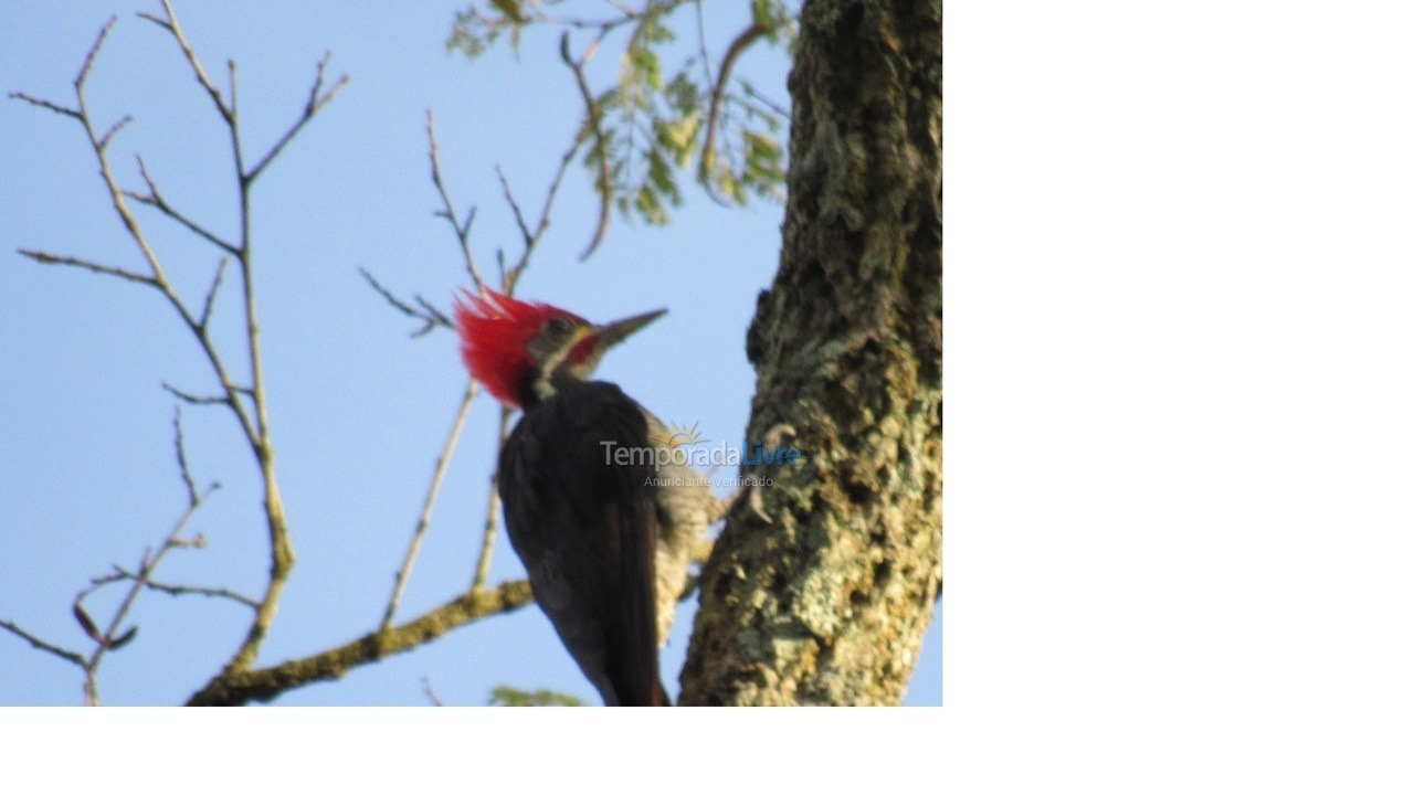 Granja para alquiler de vacaciones em Mairinque (Condomínio Porta do Sol)