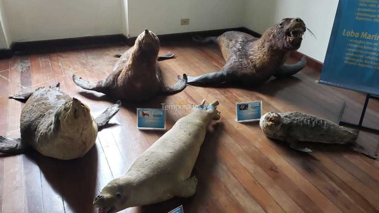 Apartamento para alquiler de vacaciones em Santos (Ponta da Praia)