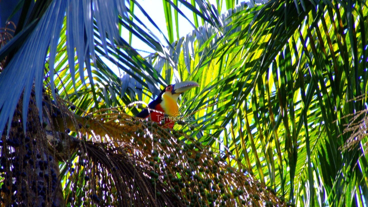 Chácara / sítio para aluguel de temporada em Iporanga (Petar Parque Turístico Alto do Ribeira)