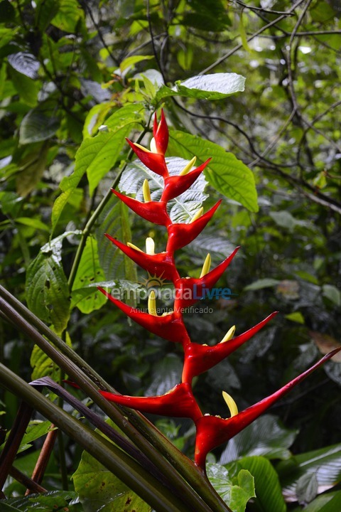 Chácara / sítio para aluguel de temporada em Iporanga (Petar Parque Turístico Alto do Ribeira)