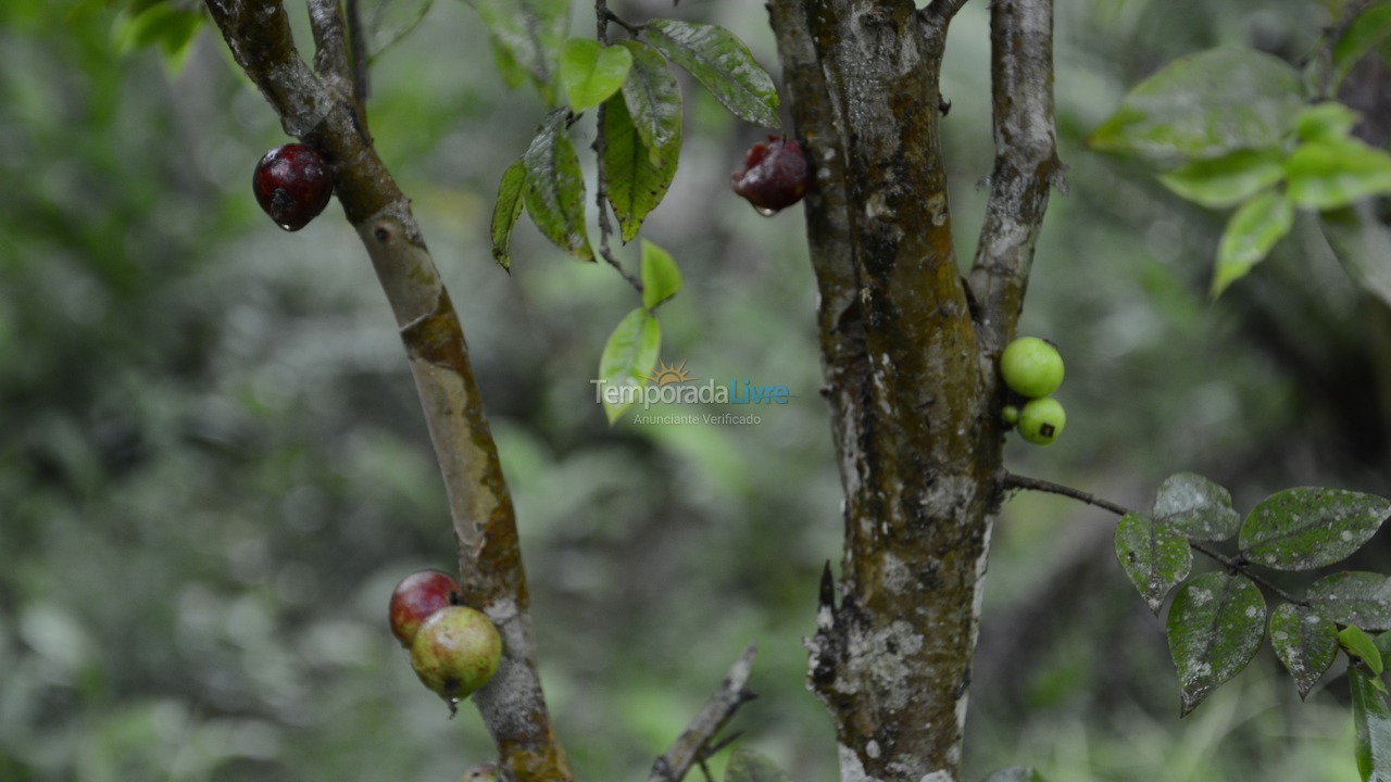 Chácara / sítio para aluguel de temporada em Iporanga (Petar Parque Turístico Alto do Ribeira)