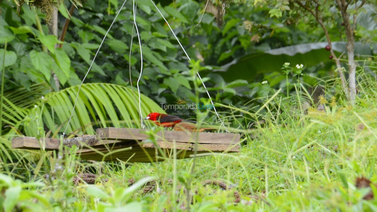 Chácara / sítio para aluguel de temporada em Iporanga (Petar Parque Turístico Alto do Ribeira)