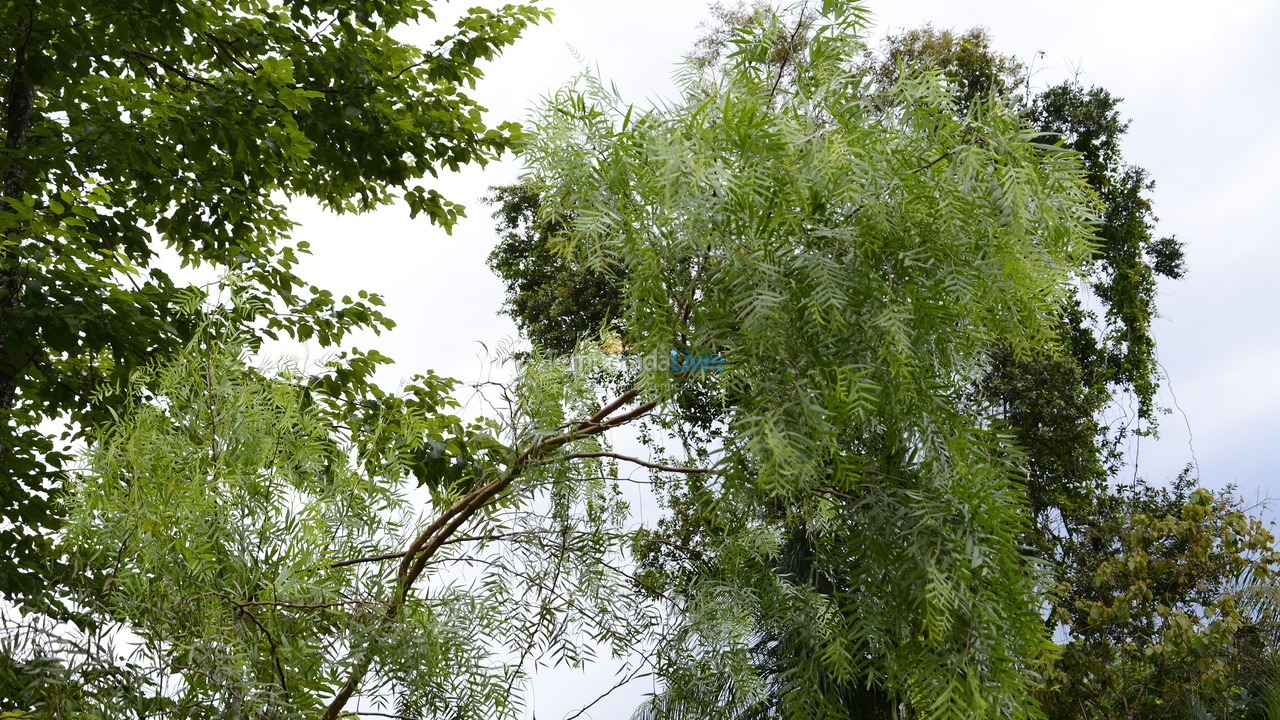 Chácara / sítio para aluguel de temporada em Iporanga (Petar Parque Turístico Alto do Ribeira)