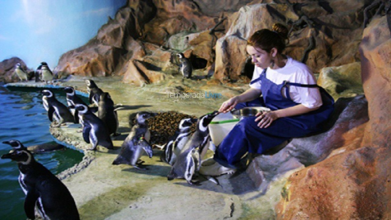 Apartamento para aluguel de temporada em Guarujá (Pitangueiras)