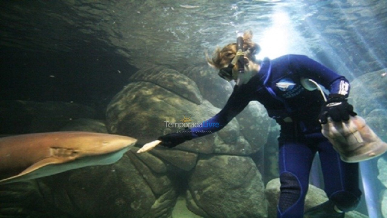 Apartamento para aluguel de temporada em Guarujá (Pitangueiras)