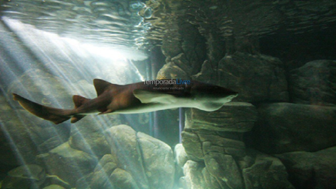 Apartamento para aluguel de temporada em Guarujá (Pitangueiras)