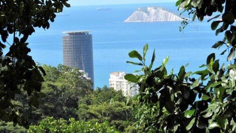 RIO GAY FRIENDLY - PAZ EM MEIO A FLORESTA E MAR