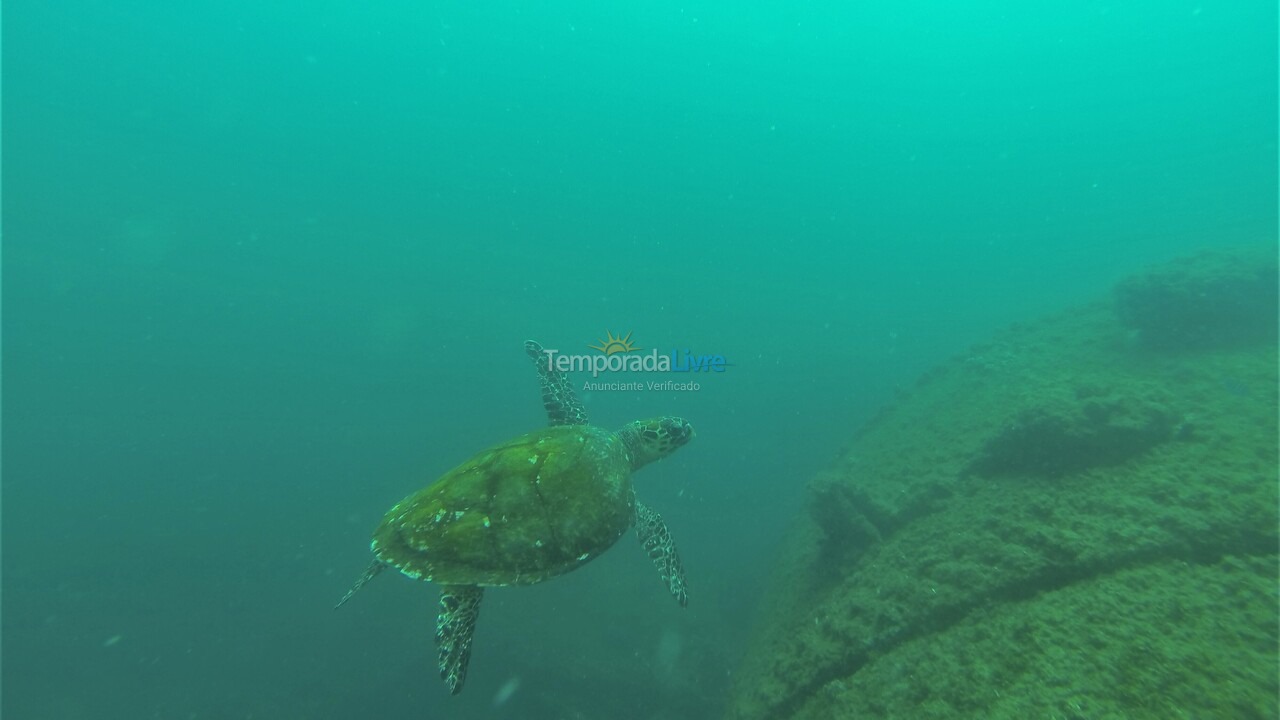 Casa para alquiler de vacaciones em Ilhabela (Sul da Ilha)