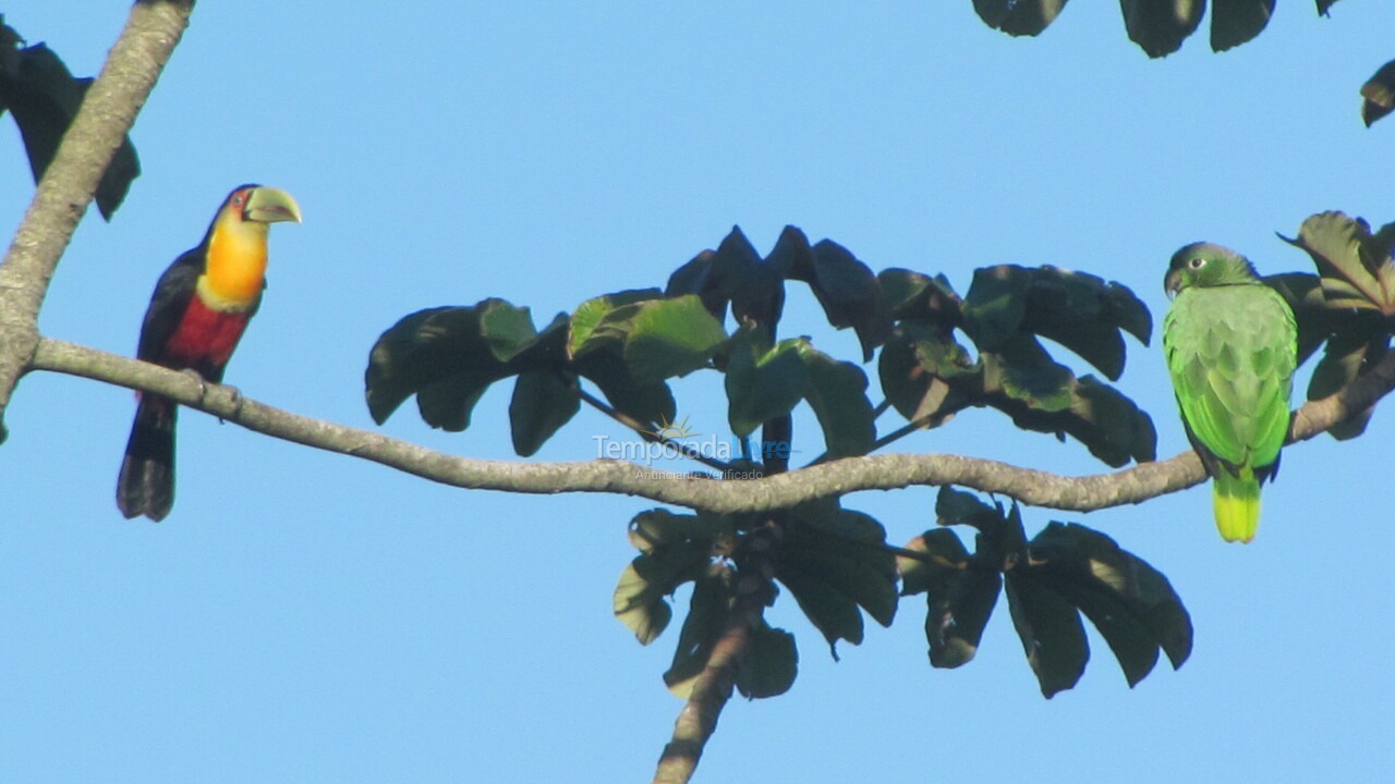Casa para alquiler de vacaciones em Ilhabela (Sul da Ilha)