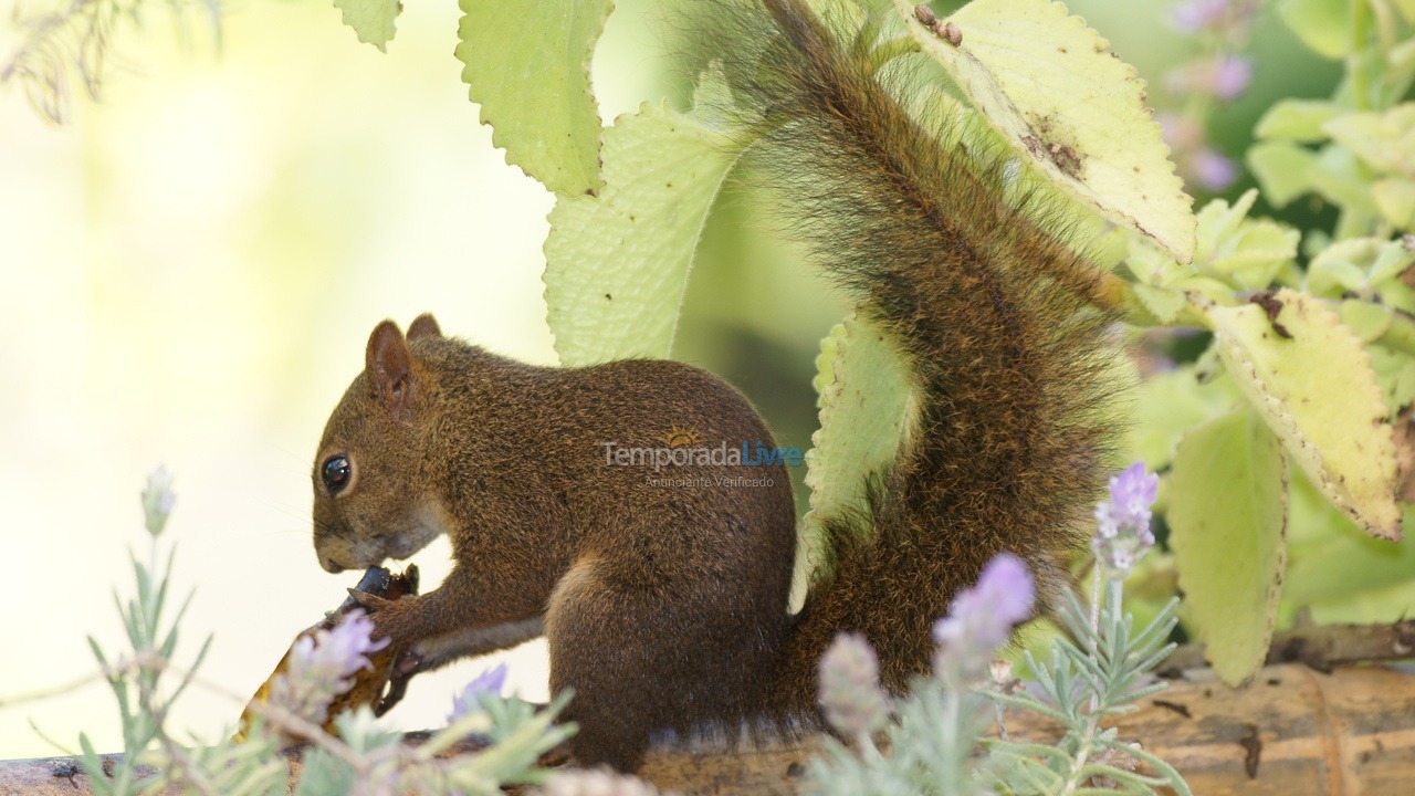 Casa para alquiler de vacaciones em Ilhabela (Sul da Ilha)