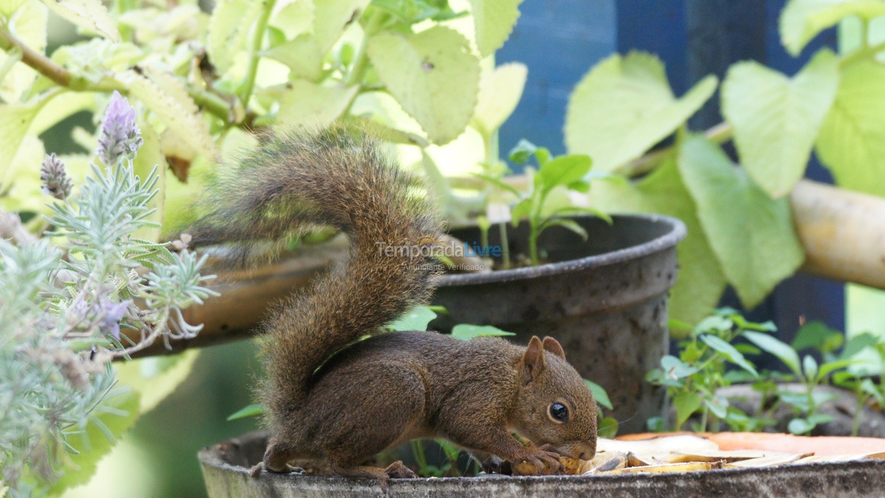Casa para alquiler de vacaciones em Ilhabela (Sul da Ilha)