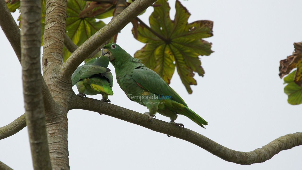 Casa para alquiler de vacaciones em Ilhabela (Sul da Ilha)
