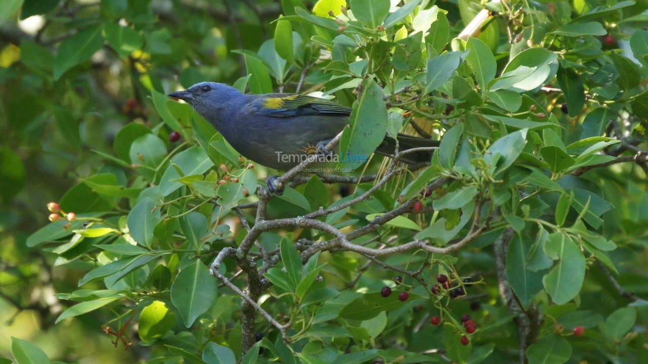 Casa para alquiler de vacaciones em Ilhabela (Sul da Ilha)
