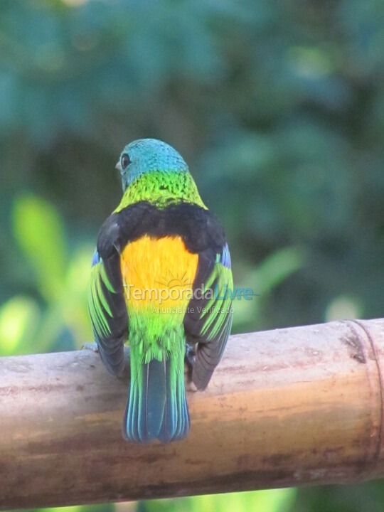 Casa para alquiler de vacaciones em Ilhabela (Sul da Ilha)