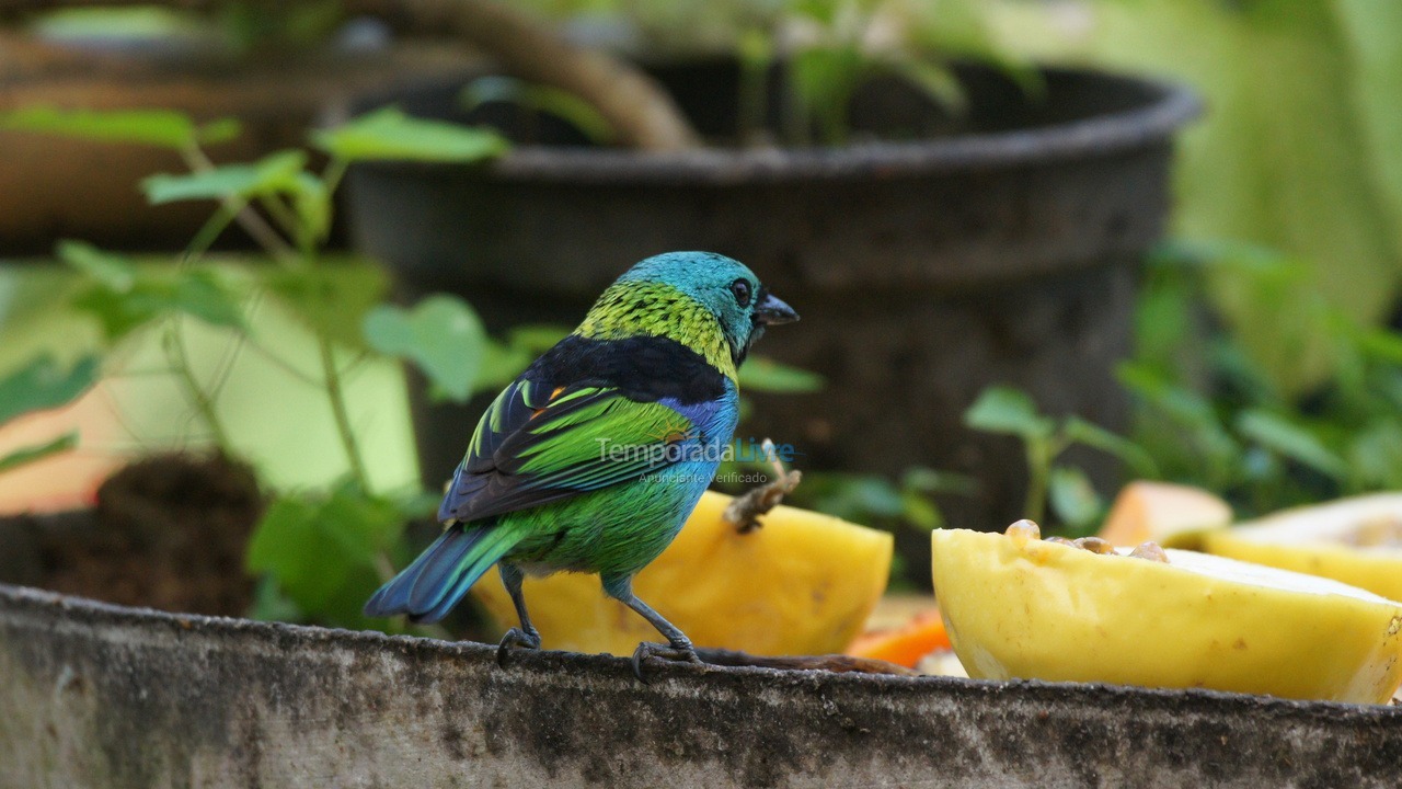 Casa para alquiler de vacaciones em Ilhabela (Sul da Ilha)