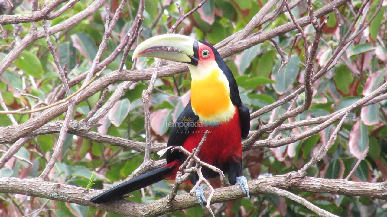 Casa para alquiler de vacaciones em Ilhabela (Sul da Ilha)