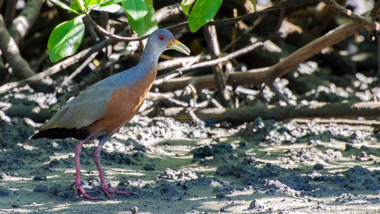 Casa para alquiler de vacaciones em Ilhéus (Condomínio Joia do Atlântico)
