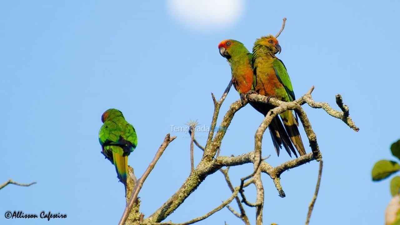 Casa para alquiler de vacaciones em Ilhéus (Condomínio Joia do Atlântico)