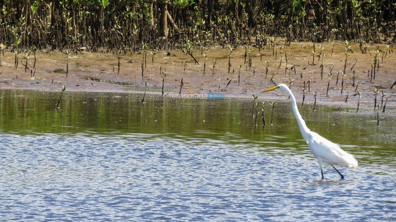 Casa para alquiler de vacaciones em Ilhéus (Condomínio Joia do Atlântico)