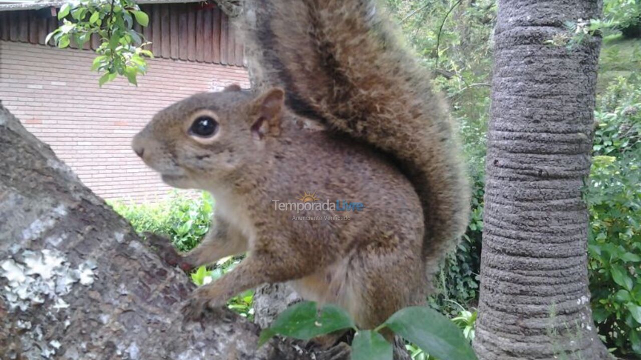 House for vacation rental in Campos do Jordão (Capivari)