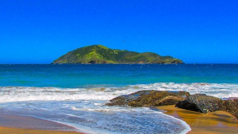           PRAIA     BRAVA