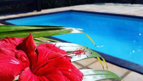 grande piscina privada