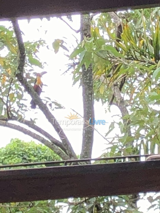 Casa para aluguel de temporada em Ilhabela (Praia da Feiticeira)