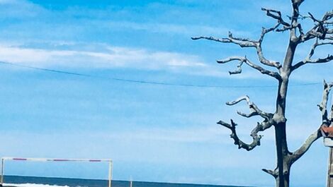 SEA FRONT - JUREIA BEACH ATLANTIC FOREST ECOLOGICAL RESERVE