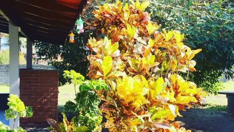 SEA FRONT - JUREIA BEACH ATLANTIC FOREST ECOLOGICAL RESERVE