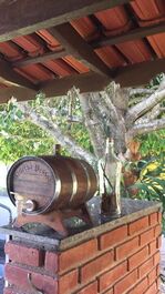 SEA FRONT - JUREIA BEACH ATLANTIC FOREST ECOLOGICAL RESERVE