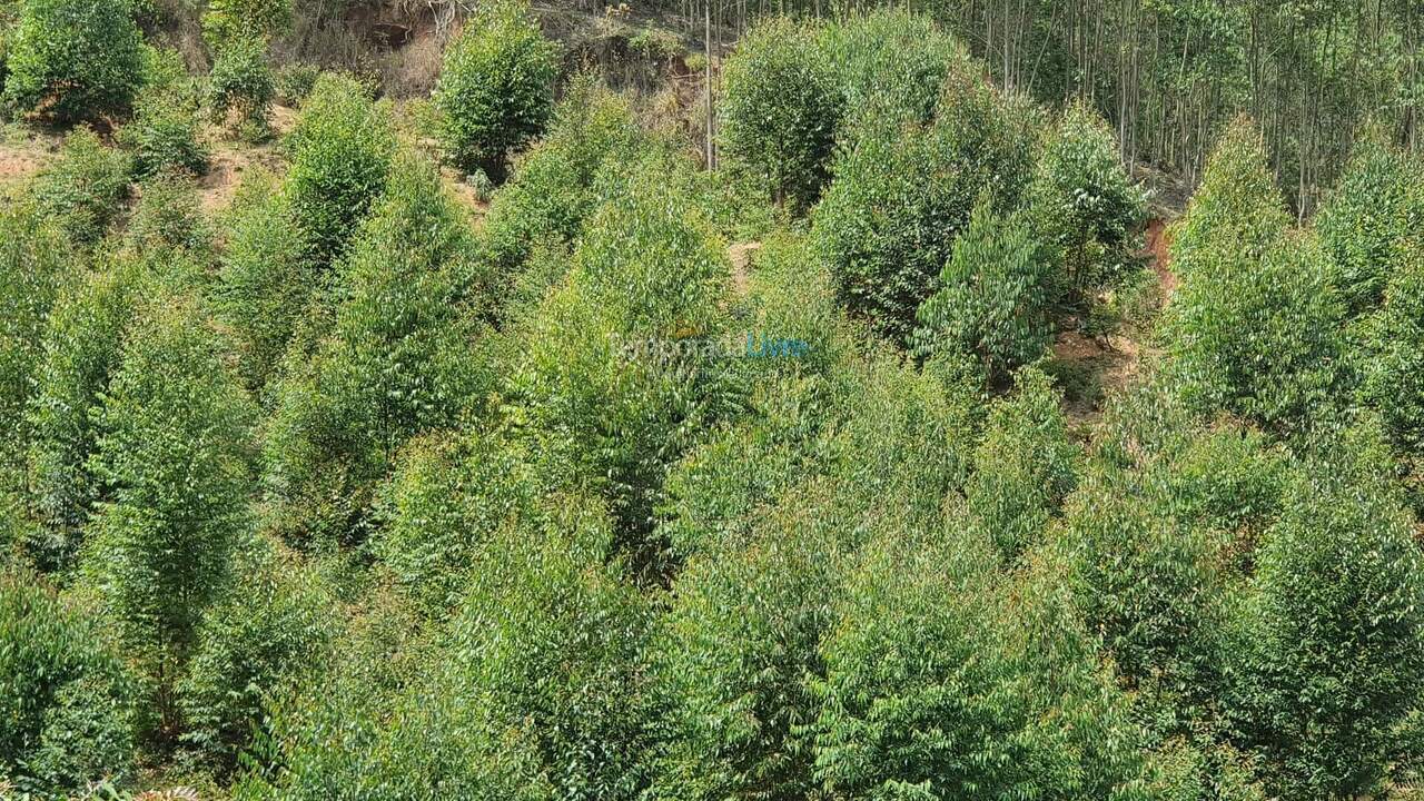 Granja para alquiler de vacaciones em Nazaré Paulista (Cuiabá)