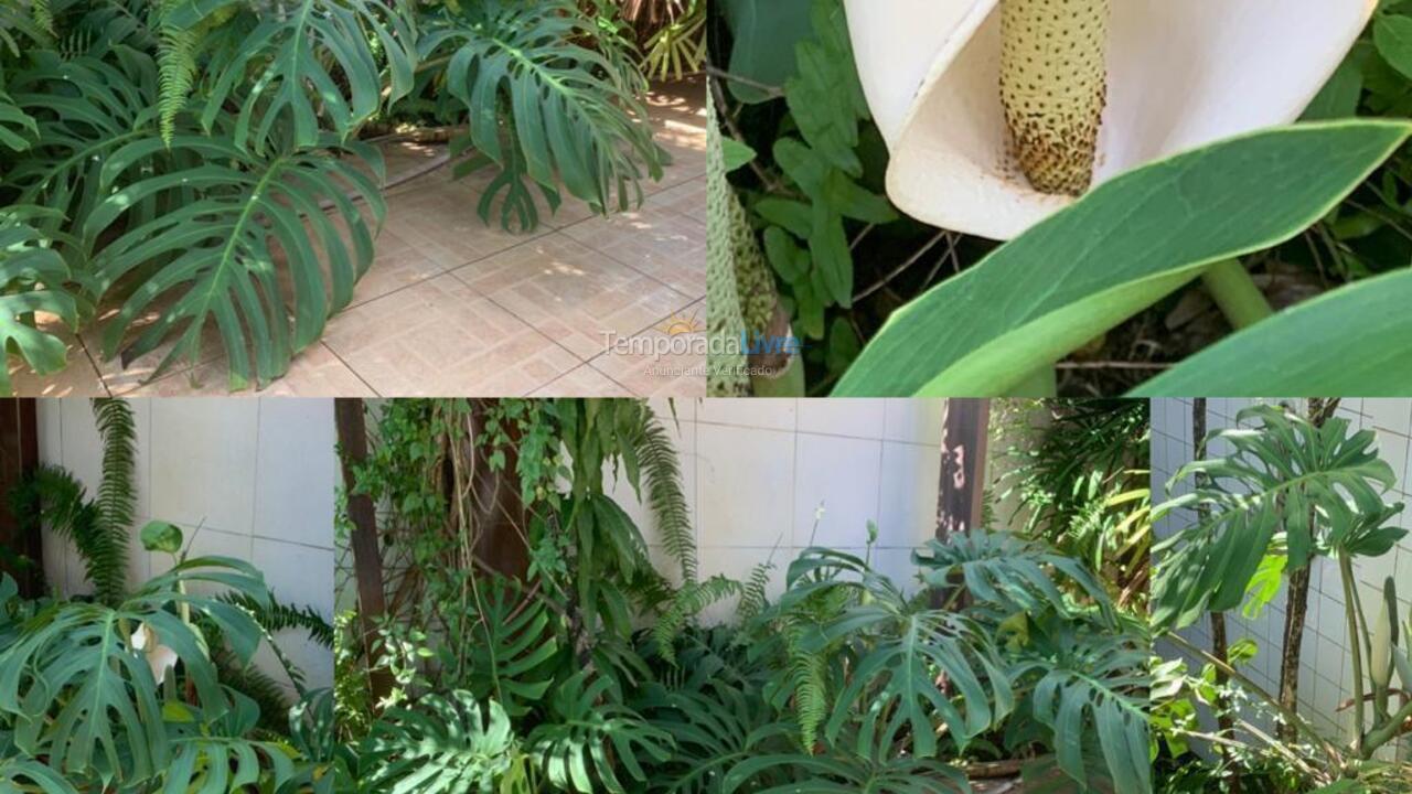 House for vacation rental in Camaçari (Praia de Guarajuba)