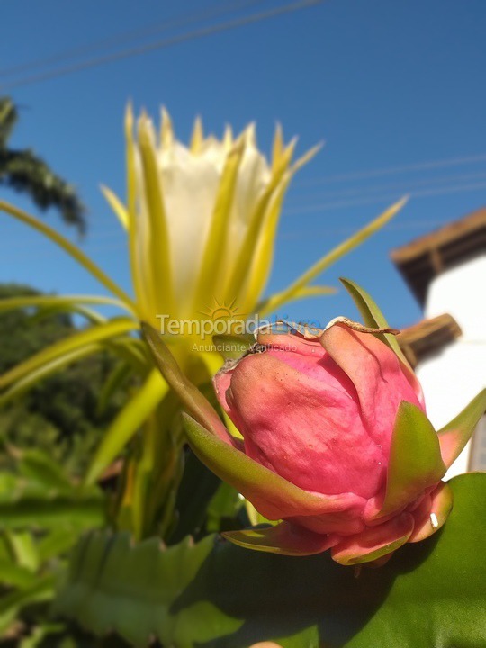Casa para aluguel de temporada em São Sebastião (Maresias)