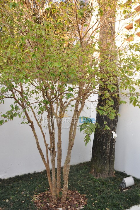 Casa para aluguel de temporada em Bertioga (Riviera de São Lourenço)