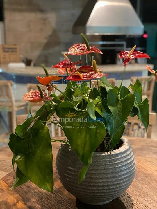 Casa para aluguel de temporada em Bertioga (Riviera de São Lourenço)