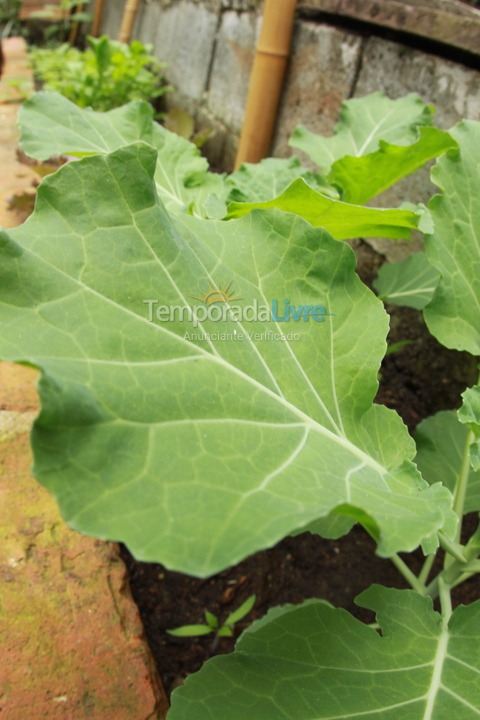 Casa para aluguel de temporada em São Sebastião (Maresias)
