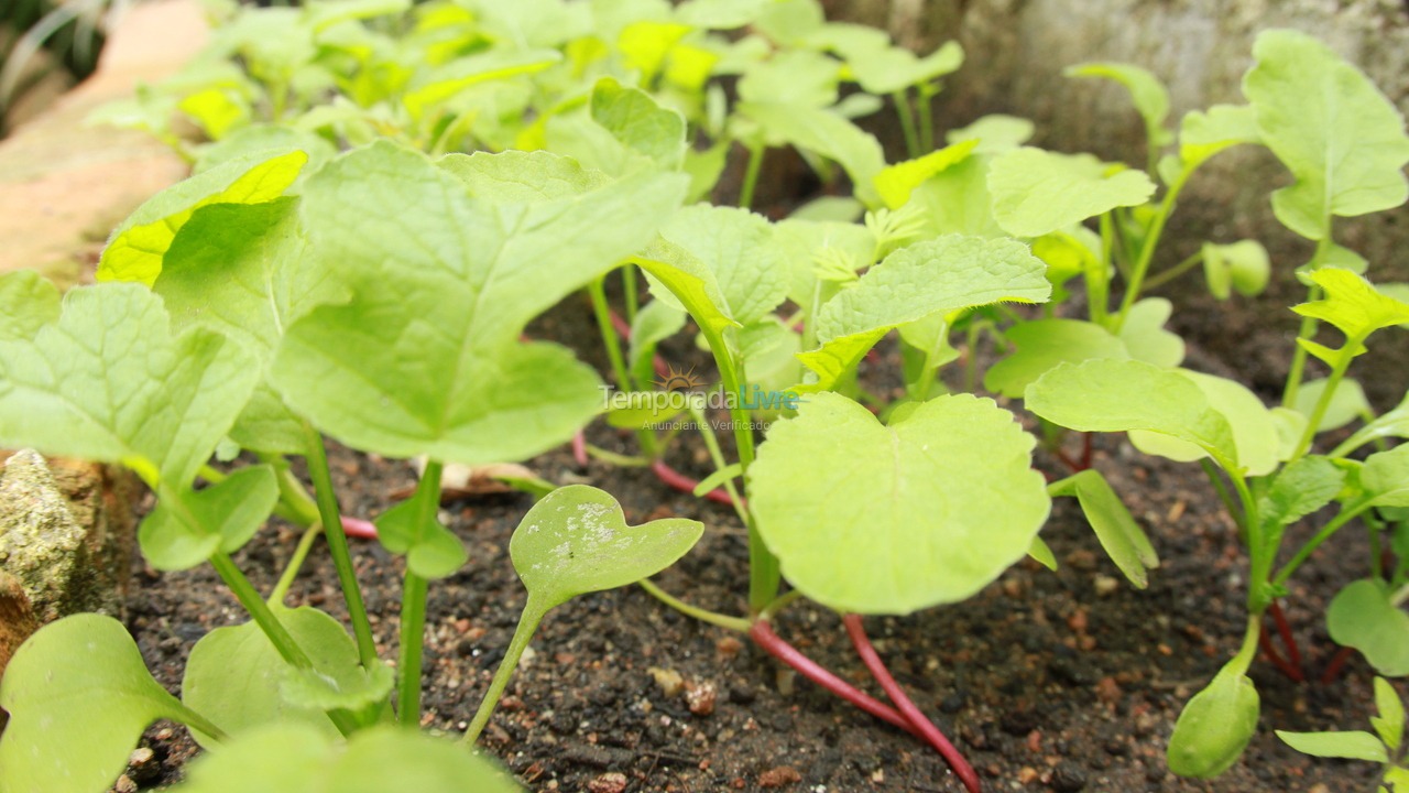 Casa para aluguel de temporada em São Sebastião (Maresias)
