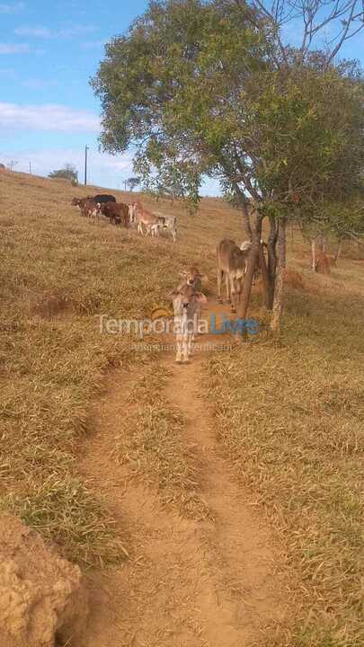 Granja para alquiler de vacaciones em Piumhi (Fazenda Coqueiros)