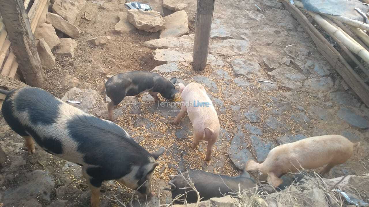 Granja para alquiler de vacaciones em Piumhi (Fazenda Coqueiros)