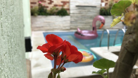 Playa y piscina climatizada en Diving Capital