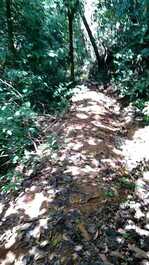 VILLA - MANGARAÍ - S.LEOPOLDINA (ES)